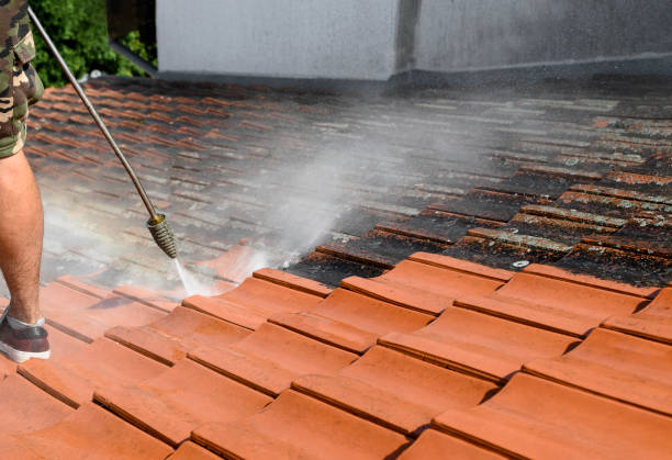 Best Deck Pressure Washing  in Alb, IA